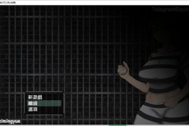 【电脑版/500M】塞拉：时间停止的监狱官方中文版【CV/新作/潜行RPG】